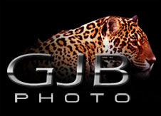 GJBPhoto Logo